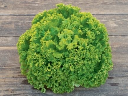 LOLLO BIONDA GETUETET ITALIEN 0,99 €
